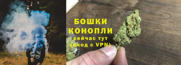 молекула духа Бердск