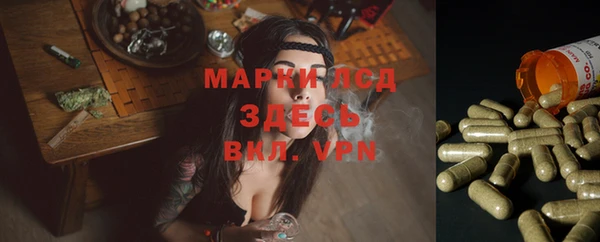 соль курить ск Артём