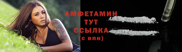 индика Вязьма