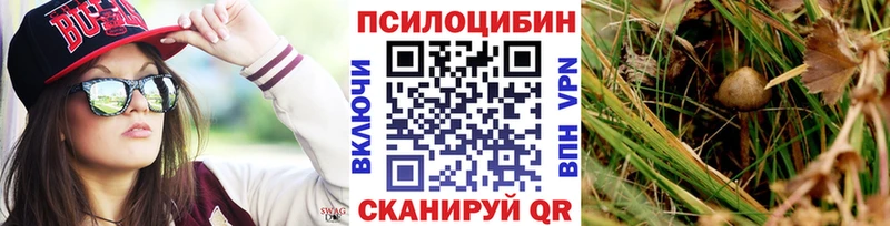Псилоцибиновые грибы Cubensis  Жуков 